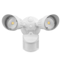 LED Security Light